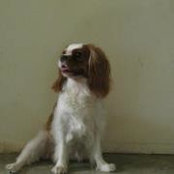 Vic Dan's photo