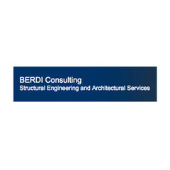 BERDI Consulting