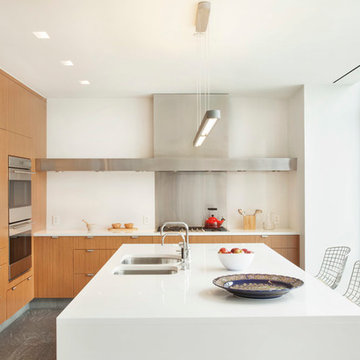 High Line Penthouse, New York, NY