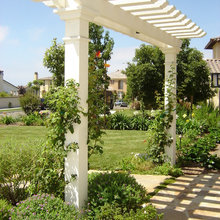 Landscape Ideas