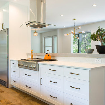 South Drive Whole House Renovation