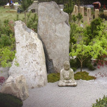 Landscape Ideas