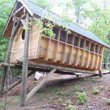 tree houses