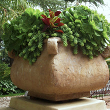 planters