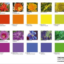 Colors