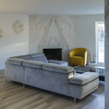 Living Room and Fireplace remodeling