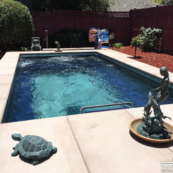Original Endless Pools&reg; - Lifestyle And Leisure