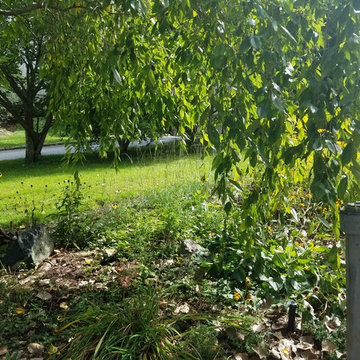 Wildlife Pocket Garden in Hudson Valley rivertown