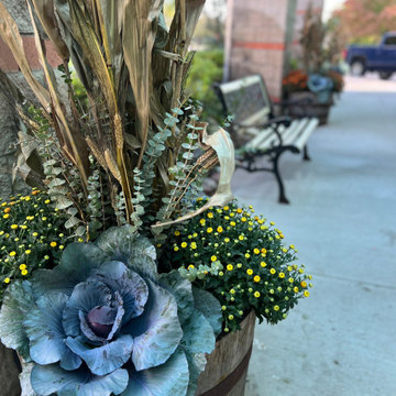 Containers, Pots, Planters & Displays
