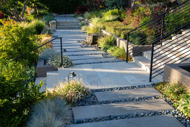 This is an example of a landscaping in San Francisco.