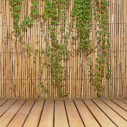 Bamboo Poles - Products