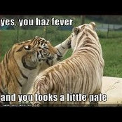 Kari Cooper's photo