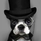 Mathew Fagan's photo