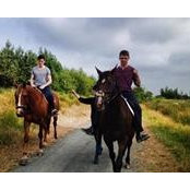 Ryan Campbell's photo