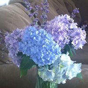 Jennifer Beinhaur's photo