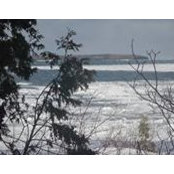 Carol Chesney's photo