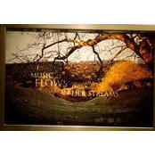 Foto von Debbie Clymans_Ford