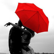 Steven McGee's photo