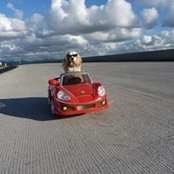 Wendy Slijk's photo