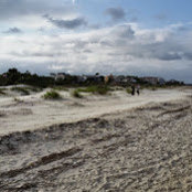 Robert Way's photo