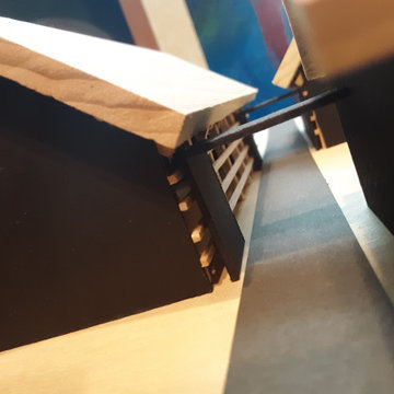 Zoom House (Design + Wellness R&D)