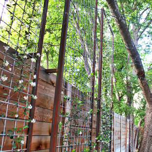 Photo of a small modern backyard garden for summer in Austin with a vertical garden.