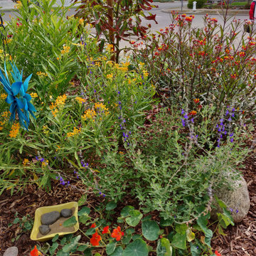 Family Gardens - Room to Play, Learn & Grow