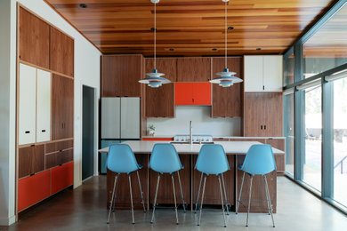 Home design - 1960s home design idea in Other
