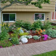 Front yard