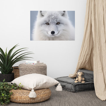 Fox Prints: Arctic Fox in Winter Coat Photorealism Art Print