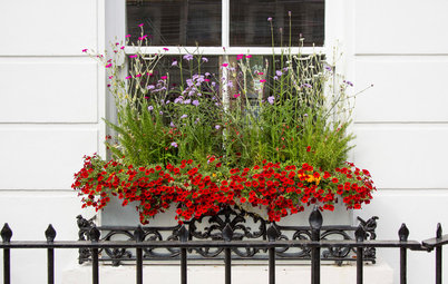 Bring Back the Window Box: Flowers and Edibles for Every Season
