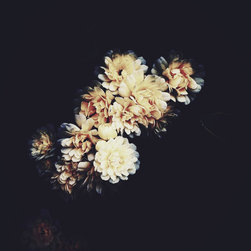 Ashley Woodson Bailey Prints - Photographs