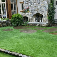Backyard Grass