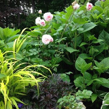 Classic cape with cottage gardens