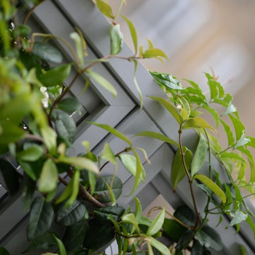 Traditional Trellis - Making Smaller Spaces Work