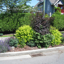 Landscape Ideas