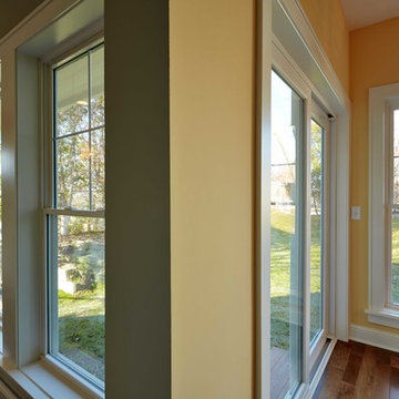 St. Paul Remodel - Vector Windows