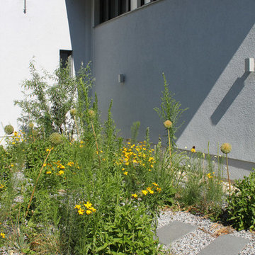 Villenvorgarten mit Staudenrasterpflanzung