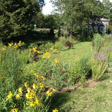 Front & Backyard
