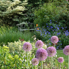 Jardins/extérieur