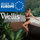 Wellis SPA Andalucia