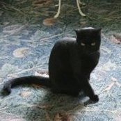Nancy Cava's photo