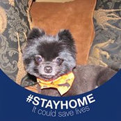 Cody McMullin's photo