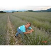 לירן ינאי's photo