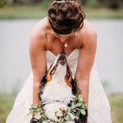 Jacqui Price's photo