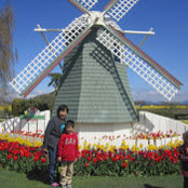 Foto von rose ngan