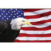 All American Exteriors of Michiana, LLC. - Niles, MI, US All American Exteriors of Michiana, LLC. - Niles, MI, US