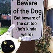 Joanna Shepherd's photo