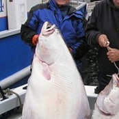 Dennis Eubanks's photo