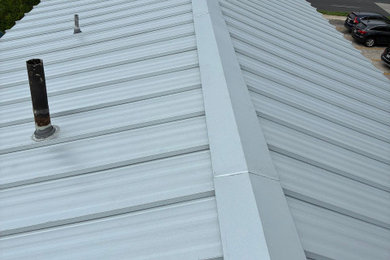 Ron Houston - Metal Roof
